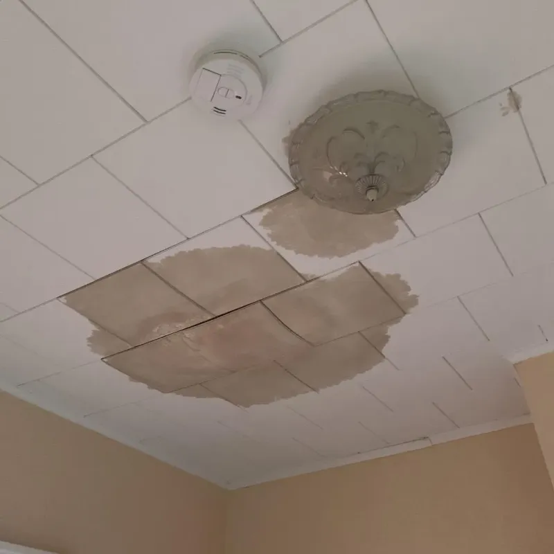 Ceiling Water Damage Repair in Clay County, IA
