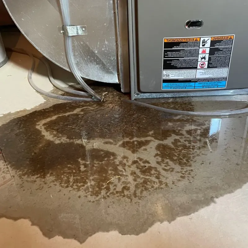 Pipe Burst and Leak Restoration in Clay County, IA
