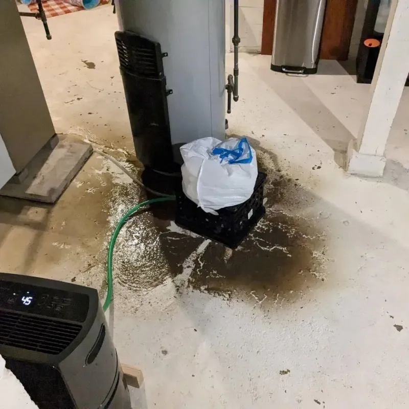 Sewage Backup Cleanup Service in Clay County, IA